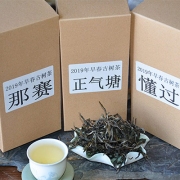 2019年早春古树茶三大茶山纯料品尝