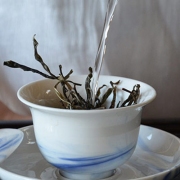 2019年早春古树茶三大茶山纯料品尝