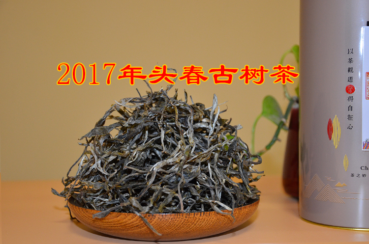 普洱茶