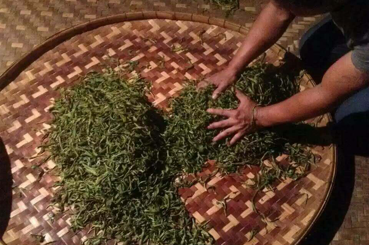 普洱茶