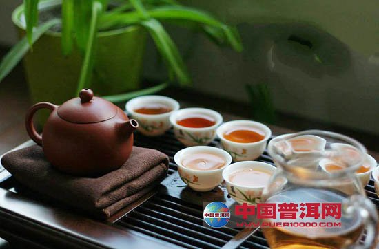 普洱茶