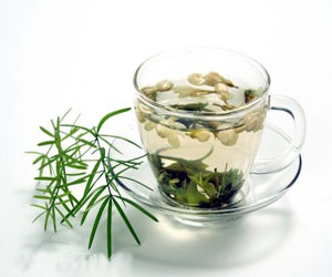 普洱茶