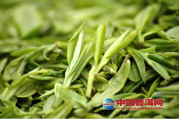 普洱茶