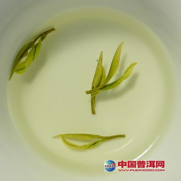 普洱茶