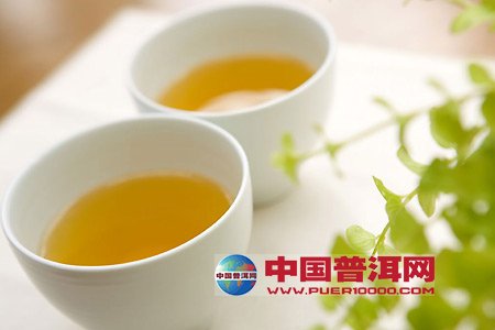 普洱茶