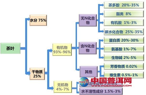 普洱茶