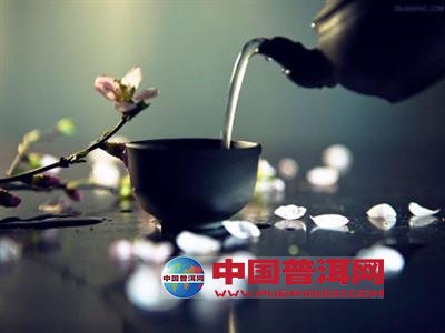 普洱茶