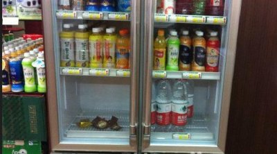 ������ز�Ҷ��Ҫ��