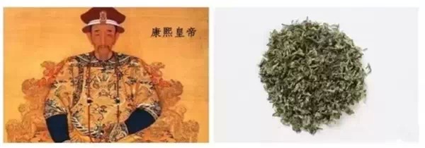 普洱茶