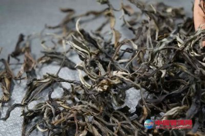 ��Ҷ�˿��������Ƿ����