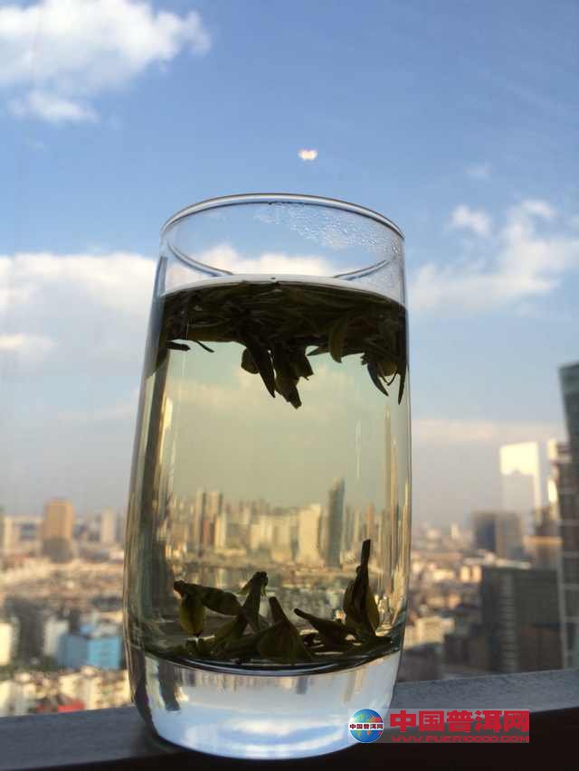 普洱茶