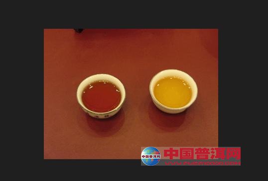 普洱茶