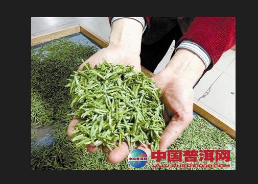 普洱茶