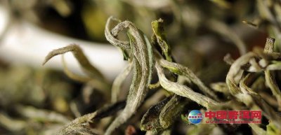 ��Ҷ���漼��