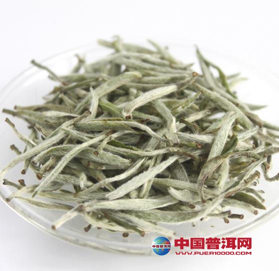 普洱茶