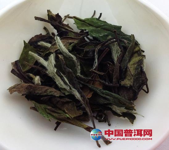 普洱茶