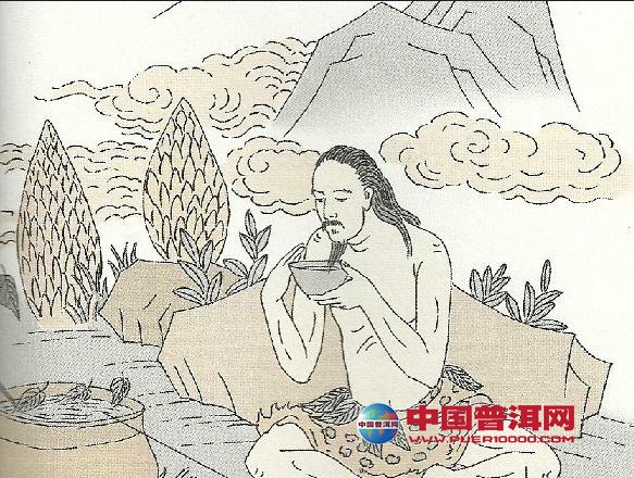 普洱茶