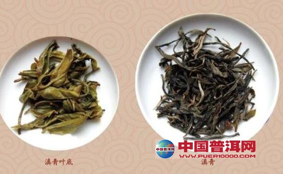 普洱茶