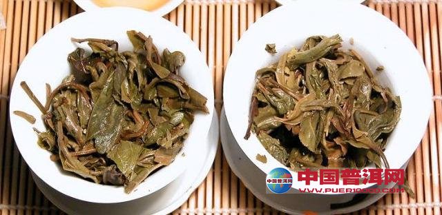 普洱茶