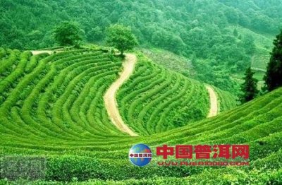 �̲�Ʒ��ͨ����4������