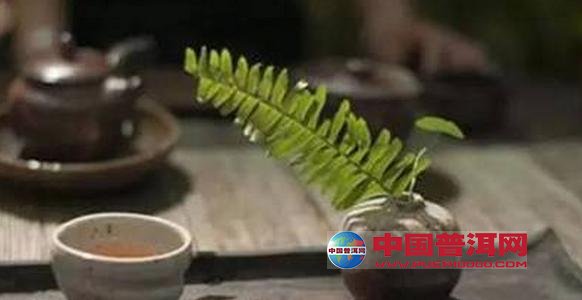 普洱茶