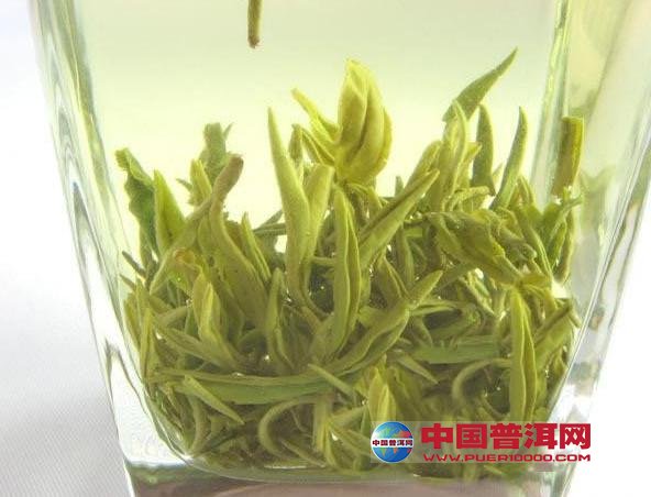 普洱茶