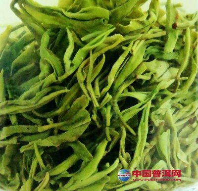 �����Ͳ�Ҷ�ݶȵ�����