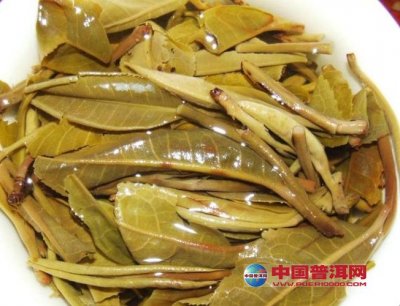 �ն���Ҷ�ײ������ⷭ��