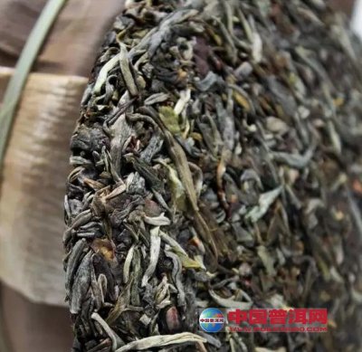 ���㡰ʶ���ն� רҵ�ִ�ζ��Ũ