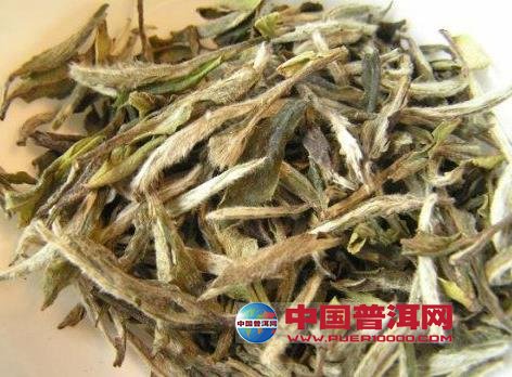 普洱茶