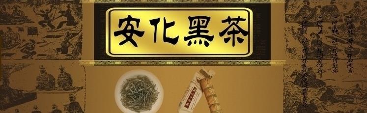 普洱茶