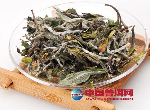 普洱茶