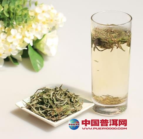 普洱茶