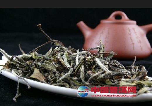 普洱茶