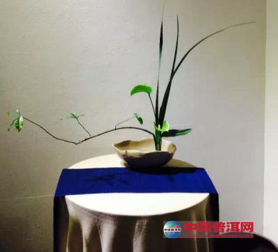 �����ŵ�廨֮��