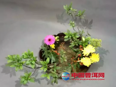 ��ʽ�廨�ص�,������?