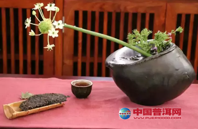 普洱茶