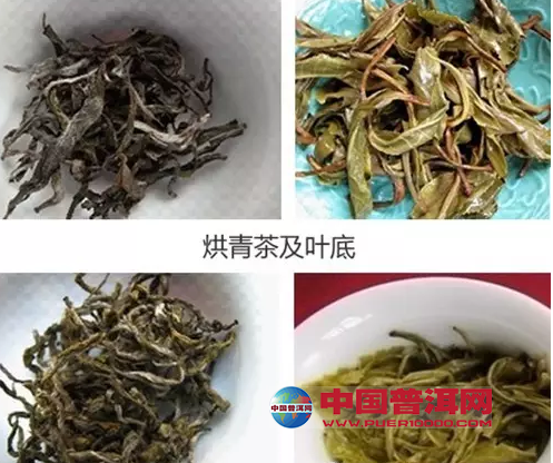 普洱茶