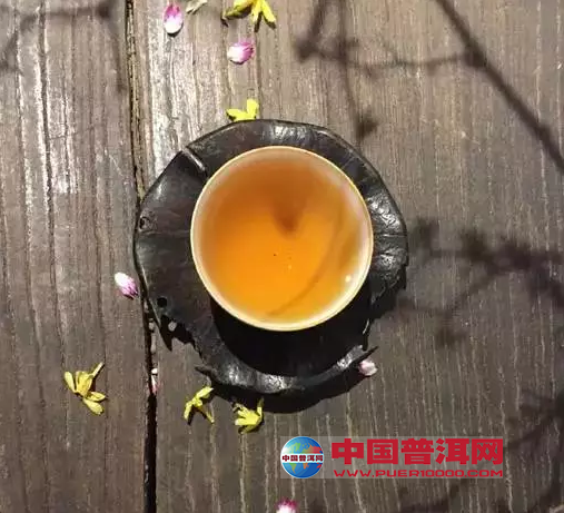 普洱茶