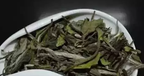 普洱茶