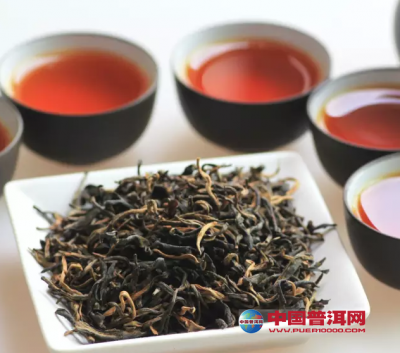 ��ͬ��Ҷ�Ĳ�ͬ�ݷ�