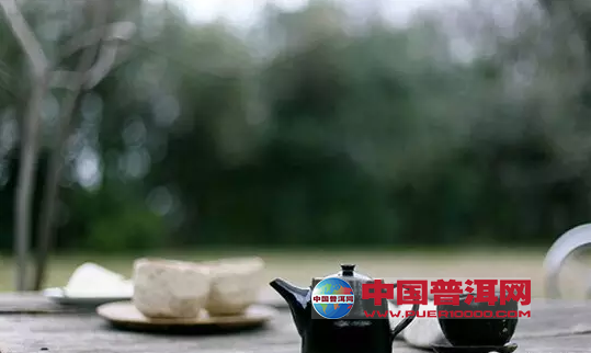 普洱茶