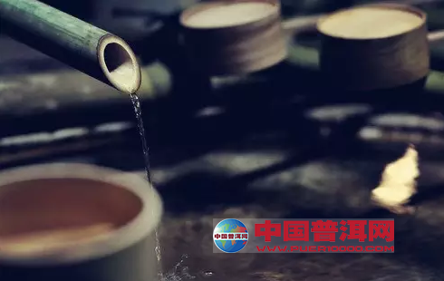 普洱茶