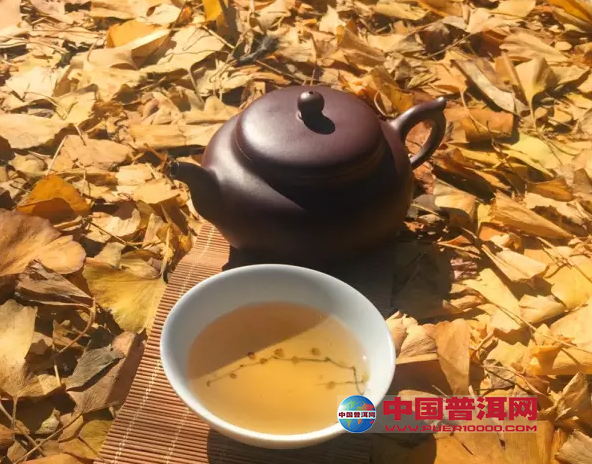 普洱茶