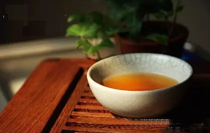 普洱茶