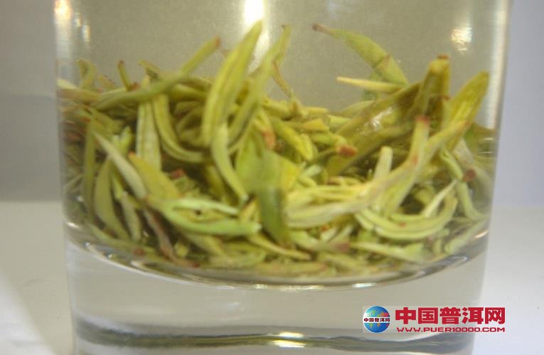 普洱茶