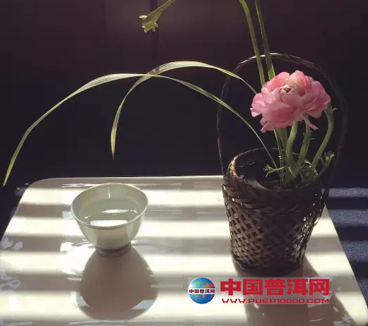 普洱茶