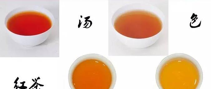 普洱茶