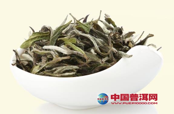 普洱茶