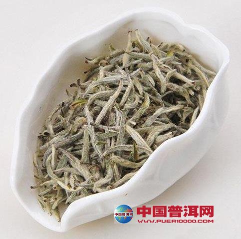 普洱茶